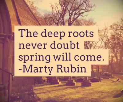 Marty Rubin quote
