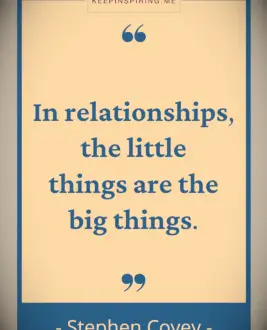 Stephen Covey quote