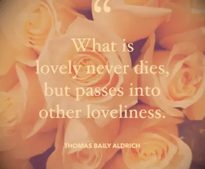 Thomas Baily Aldrich sympathy quote