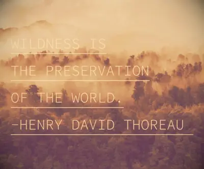 Henry David Thoreau quote