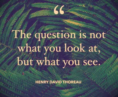 Henry David Thoreau quote