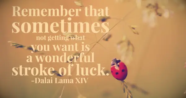 Dalai Lama quote Remember that sometimes not getting what you want is a wonderful stroke of luck