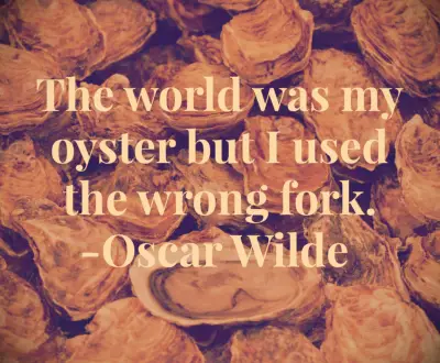 The world was my oyster but I used the wrong fork