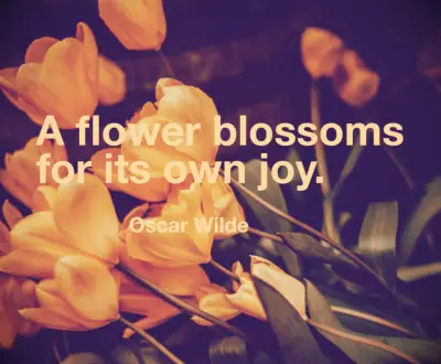 Oscar Wilde quote A flower blossoms for its own joy