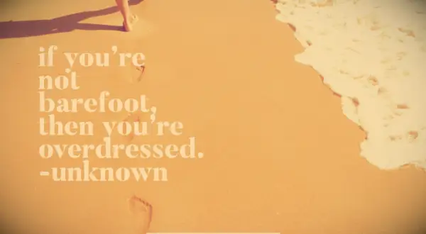 Anonymous summer quote
