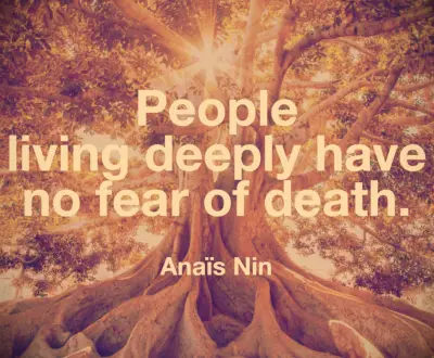 Anaïs Nin quote