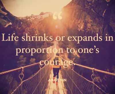 Anaïs Nin quote