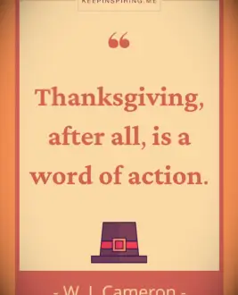 WJ Cameron quote