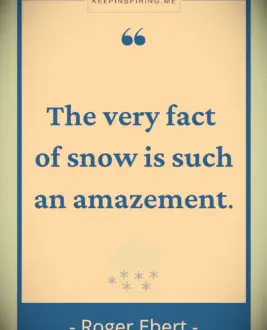 Roger Ebert quote