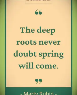 Marty Rubin quote
