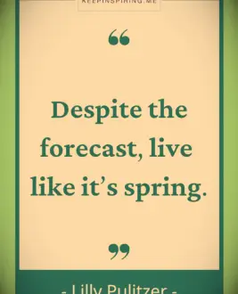 Lilly Pulitzer quote