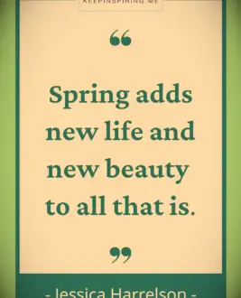 Jessica Harrelson quote