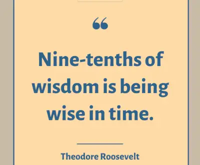 Teddy Roosevelt quote