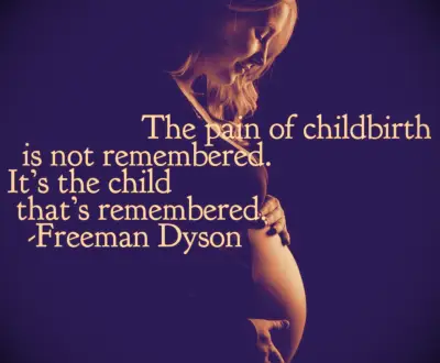 Freeman Dyson quote