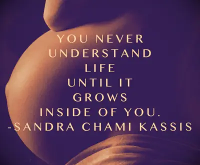 Pregnancy quote
