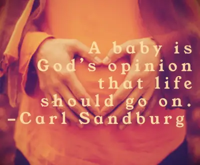 Carl Sandburg quote