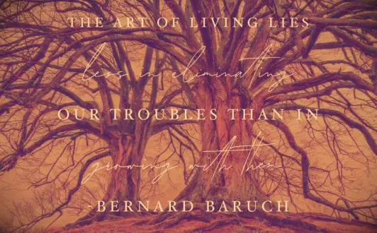 Large cypress trees on top of a hill near Jackson, Mississippi