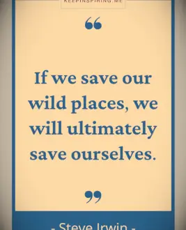 Steve Irwin nature quote