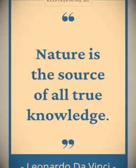 Leonardo da Vinci quote