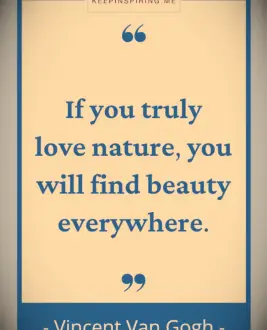 Van Gogh quote