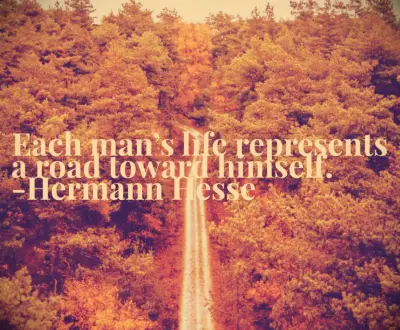 Hermann Hesse quote