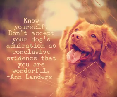 Ann Landers quote