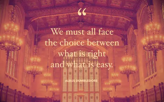 Albus Dumbledore quote