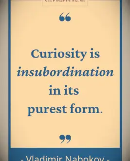 Vladimir Nabokov quote