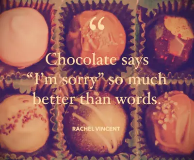 Rachel Vincent apology quote