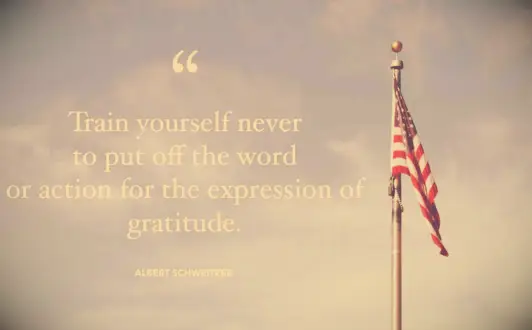 Albert Schweitzer quote