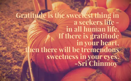 Sri Chinmoy quote