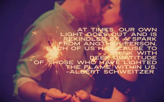 Albert Schweitzer quote