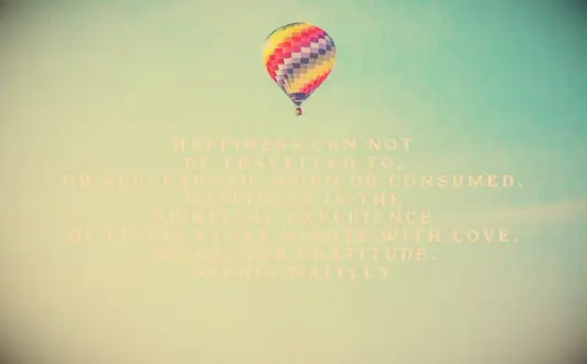 Denis Waitley quote