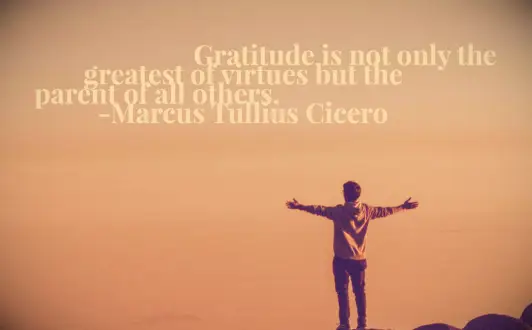 Cicero quote