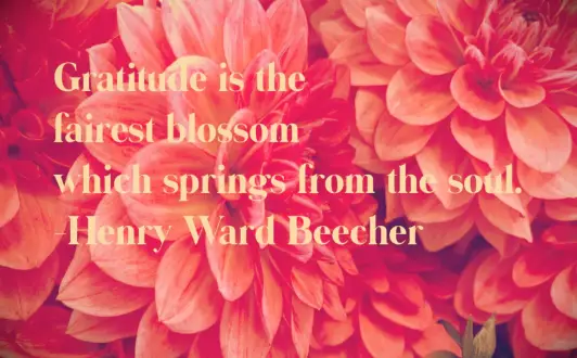 Henry Ward Beecher quote