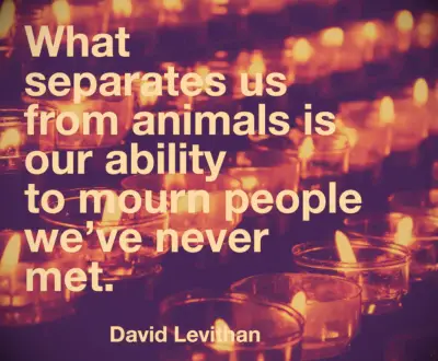 David Levithan quote