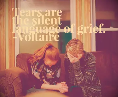 Voltaire condolences quote