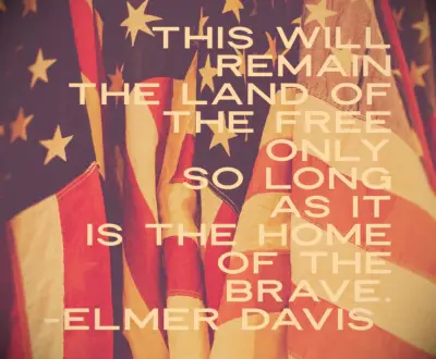 Veterans Day quote
