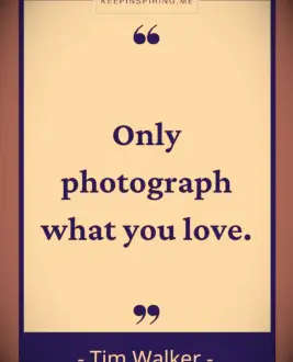 Tim Walker photography quote