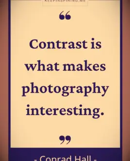 Conrad Hall quote