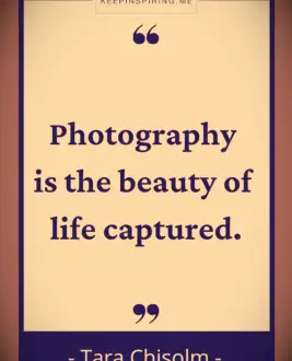 Tara Chisolm quote