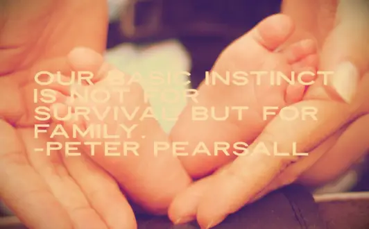 Peter Pearsall quote