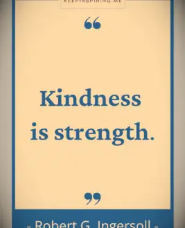 Robert Ingersoll quote