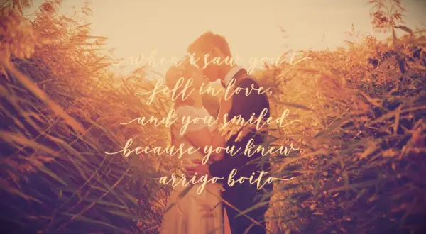 Arrigo Boito quote