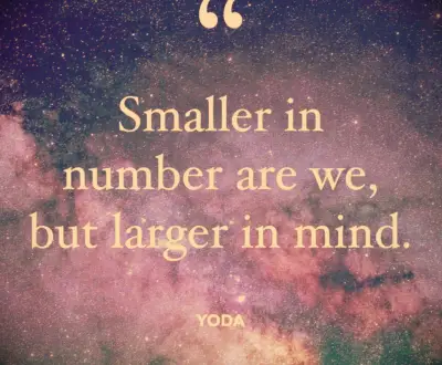 Yoda Star Wars quote Smaller in number are we, but larger in mind