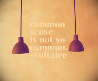 Voltaire quote