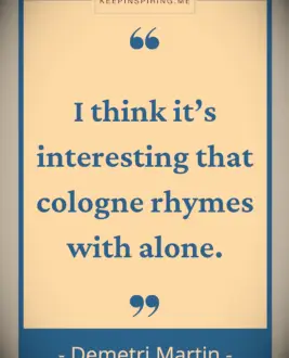 Demetri Martin quote