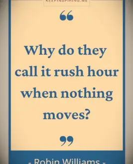 Robin Williams quote