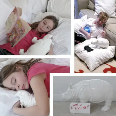 neushoorn-verrassing-olivia-jakob-zgallerie
