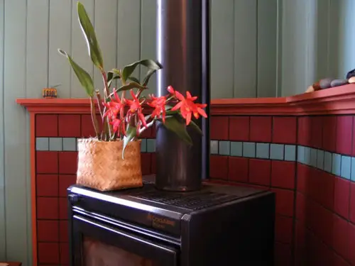 Sala Azul-petróleo After2